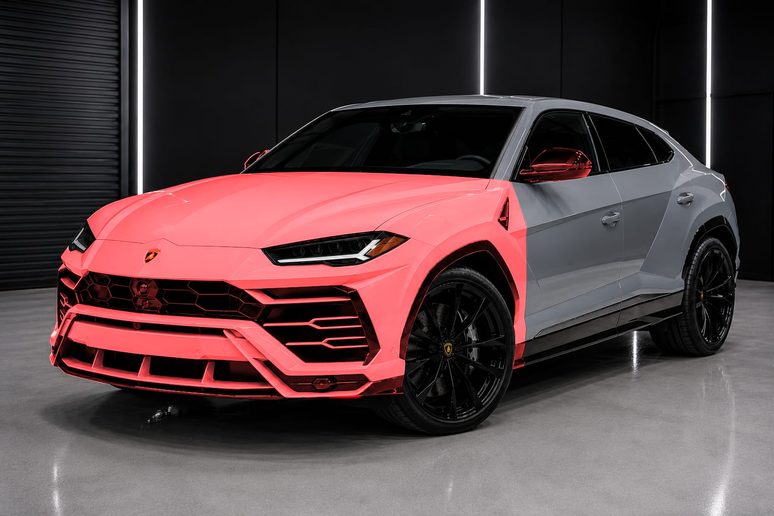 Coverage diagram: full hood, front fenders, front bumper, and mirrors highlighted in red